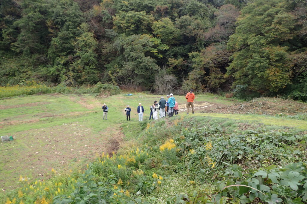 令和6年能登半島地震で発生した,若山川の段差地形.