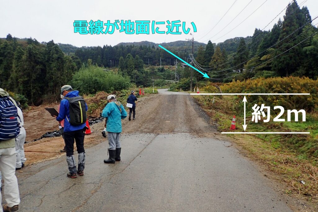 和歌山画沿いの約2mの段差地形.令和6年能登半島地震によって発生したもの