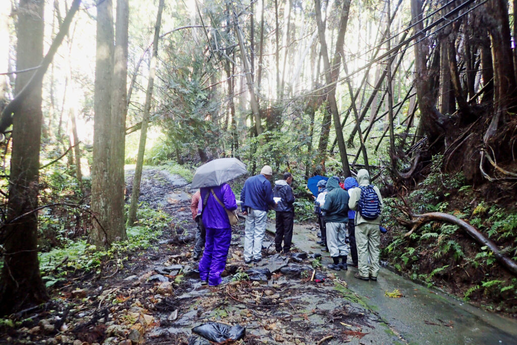 能登半島の蛇喰地区の地すべりです．