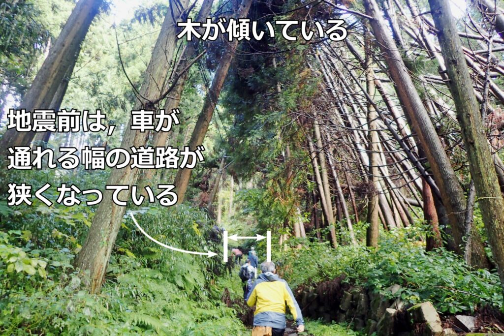能登半島蛇喰地区における,令和6年能登半島地震の被害状況です.道路が押しつぶされ,周囲の木が倒れています.