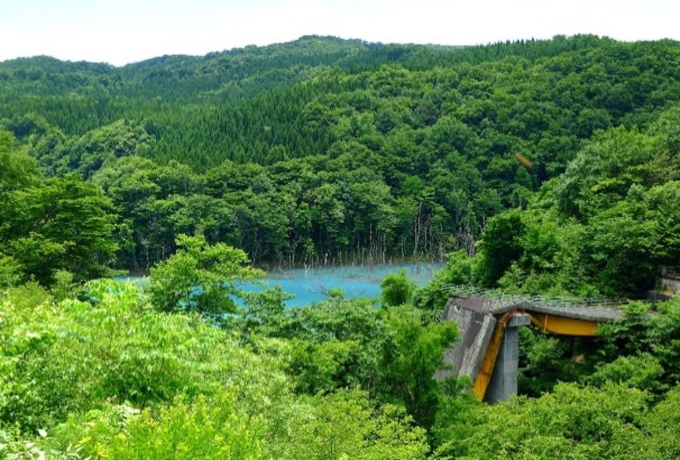 入選 『記憶のリレー』 金子敦志(福島県)